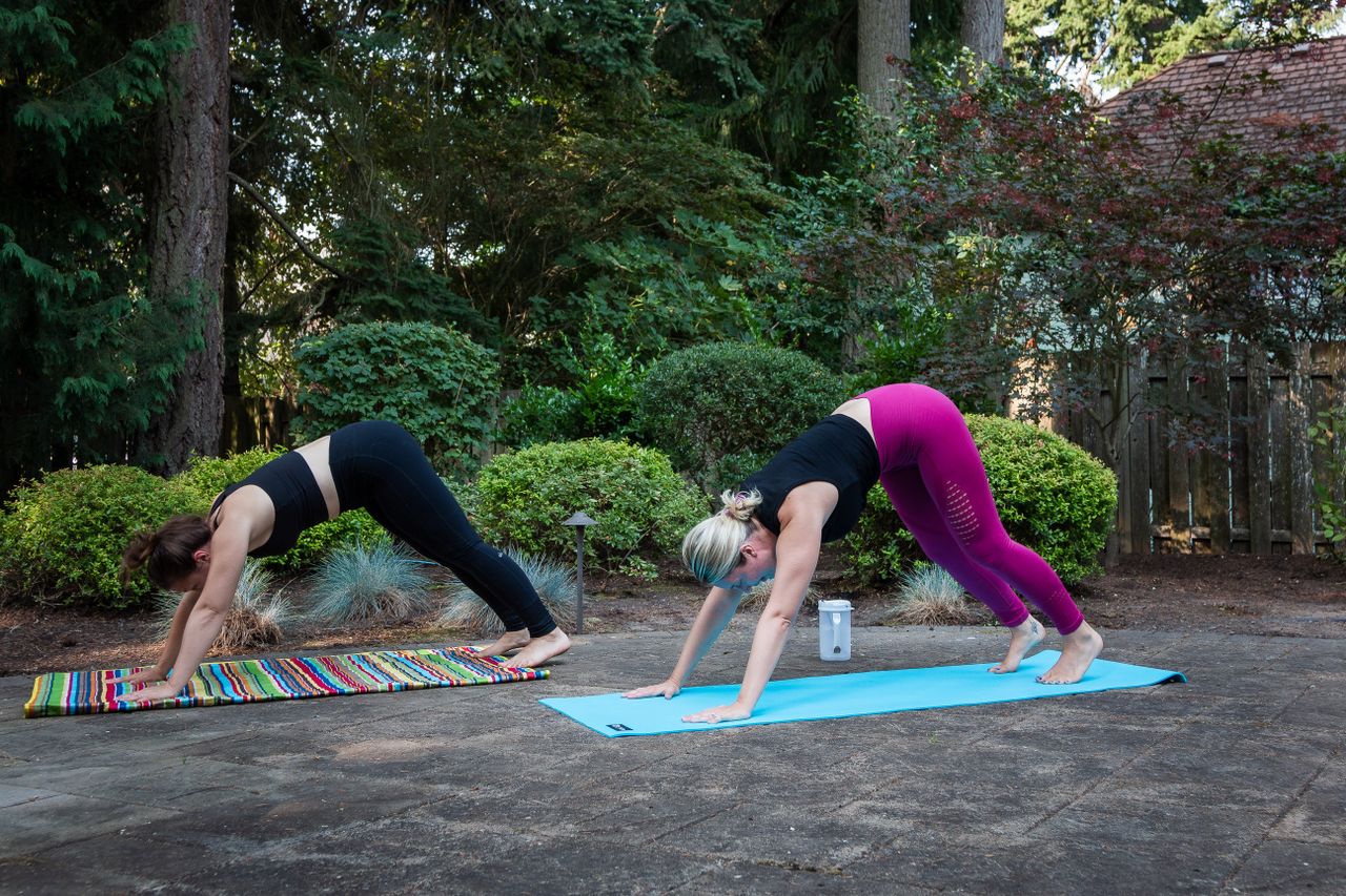 social-feed-img-03 Two women perform yoga exercises on mats in a serene outdoor setting.